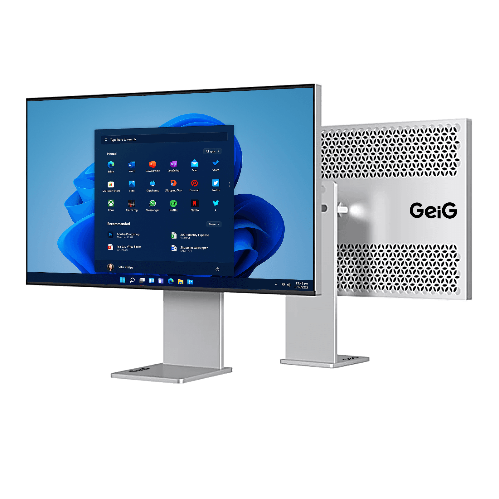 GeiG Monitor Pro